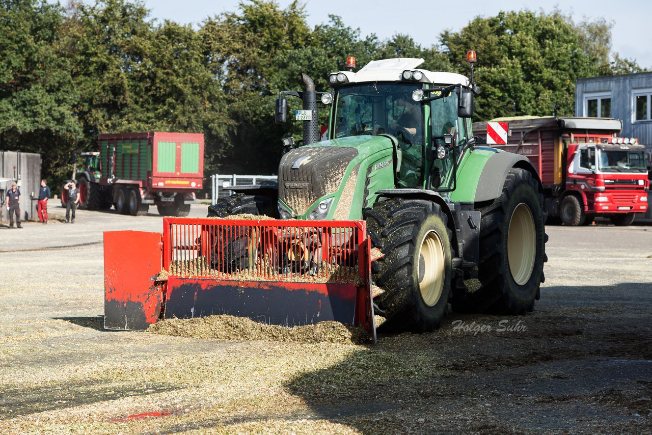 Bild 123 - Maisernte